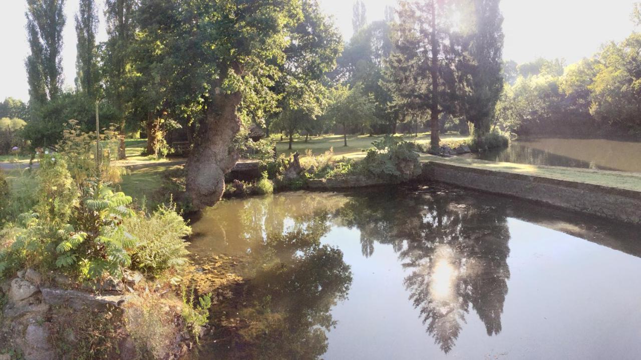 Le Moulin Du Mottay Bed & Breakfast Évran Dış mekan fotoğraf